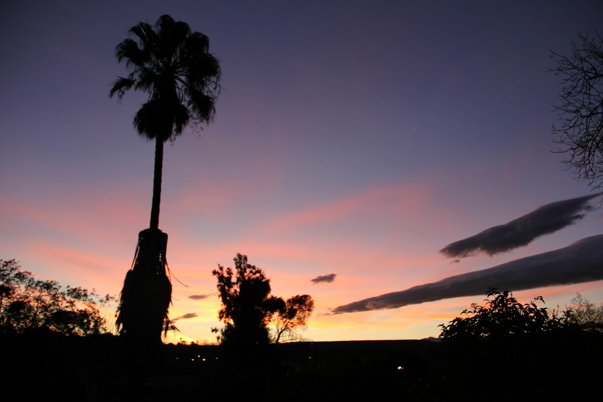 Gumtree Guest House Oudtshoorn Zewnętrze zdjęcie